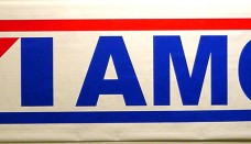 American Motors Logo 3D