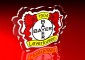 Bayer 04 Leverkusen Logo 3D