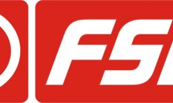 FSO Logo 3D
