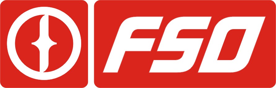 FSO Logo 3D Wallpaper