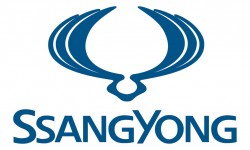 Ssang Yong Symbol