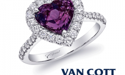 Van Cott Jewelers Logo 3D