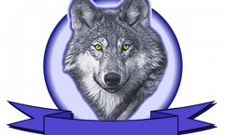Wolf logo