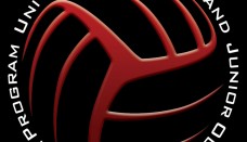 Volleyball 3d logo