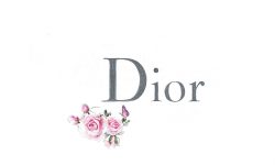 Dior Logo Brand