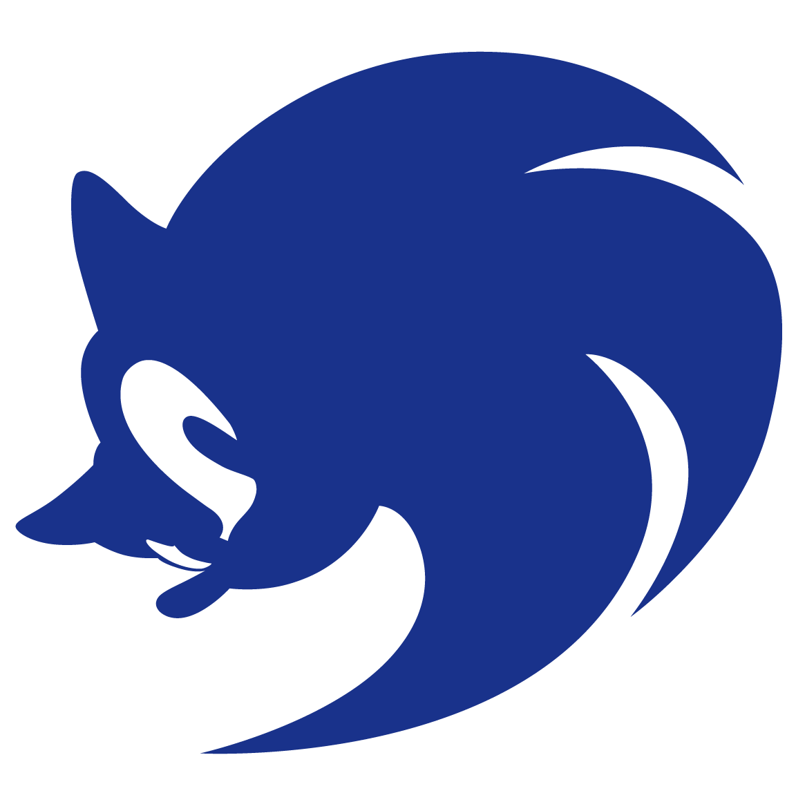 sonic r pc save file