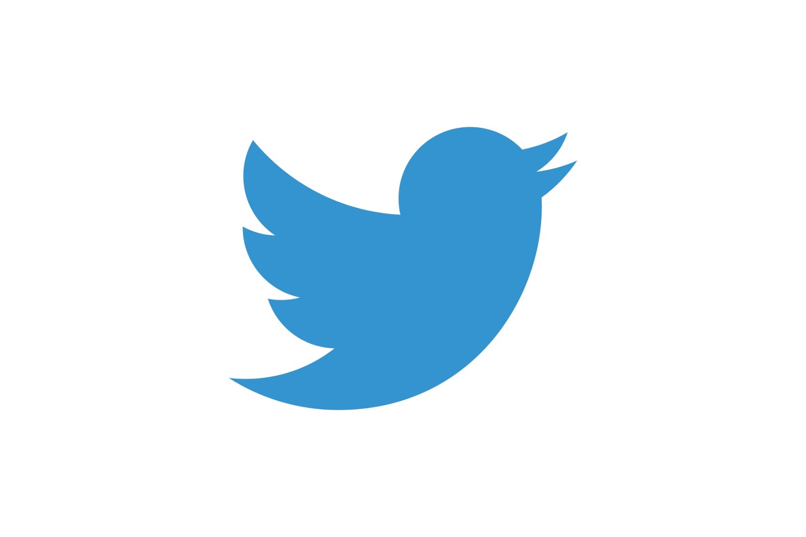 Twitter Bird Logo 3D asset | CGTrader