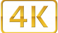 4K Gold Logo