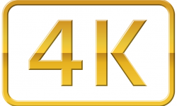 4K Gold Logo