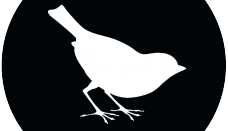 lOiseau Logo