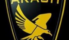 Arash icon