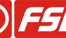 FSO Logo 3D