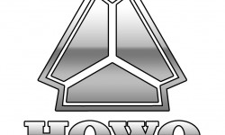 Howo Logo 3D