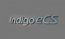 Indigo Logo 3D