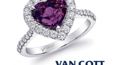 Van Cott Jewelers Logo 3D