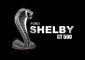 Shelby logo wallpaper