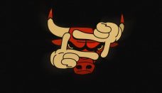 Funny Chicago Bulls Logo