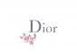 Dior Logo Brand