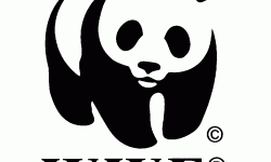 WWF Logo -Logo Brands For Free HD 3D