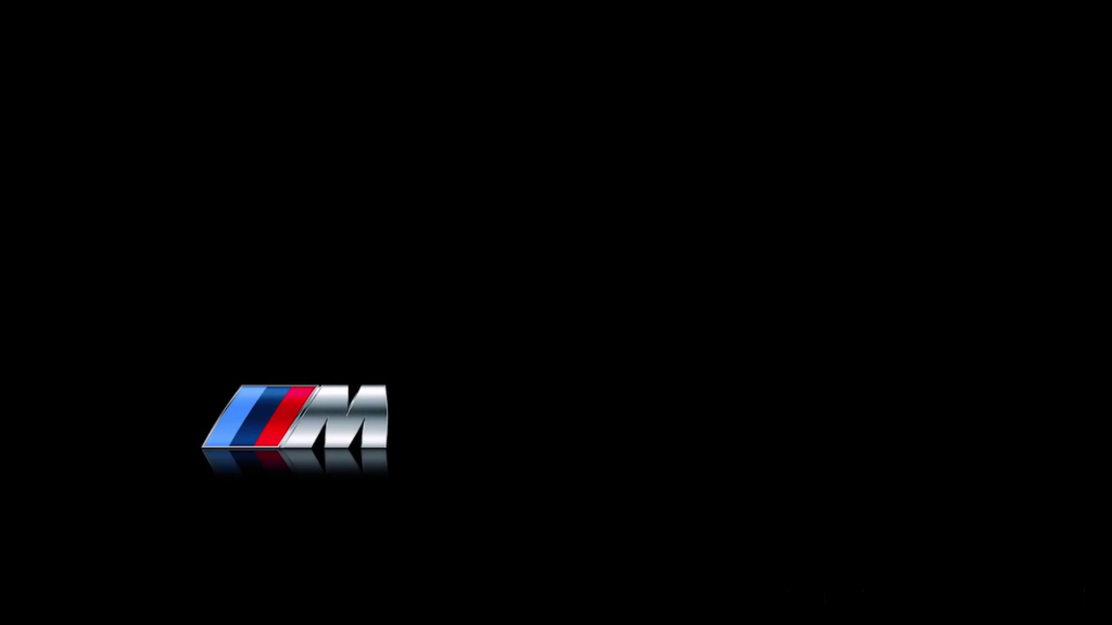 BMW M Logo -Logo Brands For Free HD 3D
